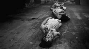 人体蜈蚣4在线观看,惊悚升级，极限生存挑战再启程